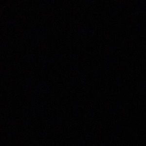 Meet your Posher, Frankie